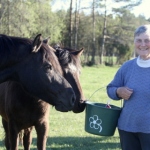 Lemmi Kallas koos Luulupe talli eesti hobustega