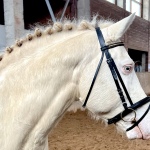 2BA4F2A4-E9FD-43D0-8CEE-4B7154BD7B31