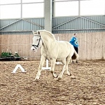 80DC9E36-331B-4377-9480-2B0262B3BE0E