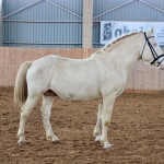 C596D80C-1850-4BAE-BA87-A049D61BA8CB