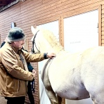 D4908AEA-2F27-4DAB-9AA8-894E23ADD8E8