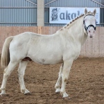 F41A7392-423E-48B3-AFE7-9EEABB22CE7F