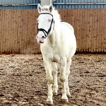 F7E894B8-AF2E-4703-8DD0-9065BF885364