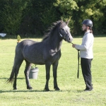 131B249A-7F71-4360-957B-024DF9833C12