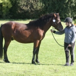 1D5F97B4-08FF-462D-BC09-02D5B430D2A3