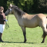 46ADFE12-0D77-43AE-B447-9271F88C31C5