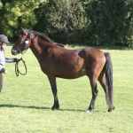 4986C75F-67CE-44D9-ADBA-8BCD73086C5F