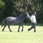 5676C2AA-DD3C-4975-901F-0395010B50FE