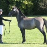 60C75E5C-D334-46B4-9293-0BC7413EEC89