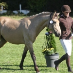 7256B04D-9A6A-4538-ACD4-05ED1EBCD50E