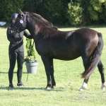 8F6F91A8-FBEE-4B45-8F70-3A7830235C36