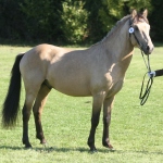 93E2FB85-8B39-464A-9D4B-68FBB1248BBA