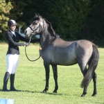 FE3F801F-1FE1-4F69-986A-B8E7B07C1640