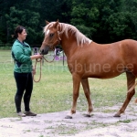 Gerle Aljas esitab Te Amore´t, s2013 Teik 809 E Aana 4302 E ei Aku 684 E, aretaja Aare Aljas Tüütsi Talu