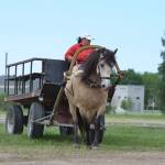 Viive Pilv hobusega Tamira (Kardo 793 E)