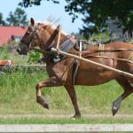 Merilin Meri ja Arancia (Apollo 778 E)