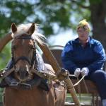 Merilin Meri ja Arancia (Apollo 778 E)