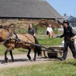 Andreas Pernits ja Tohtri Error (Elkar 598 E)