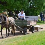 Maie Kukk mära Rosmarii (Ralf 824 E)