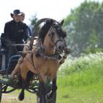 Andreas Pernits ja Tohtri Error (Elkar 598 E)