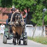 Tohtri Error (Elkar 598 E)