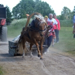 Merilin Meri ja Arancia (Apollo 778 E)