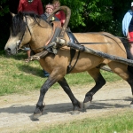 Tohtri Error (Elkar 598 E)