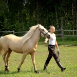 2 aastane mära TIANA (isa: TREVOR 739 E isaisa: TRUMP 737 E emaisa: AKSEL 722 E) omanik Aide Vendla