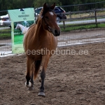 Vekseelia (isa Veksel 823 E)