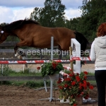 Vekseelia (isa Veksel 823 E)