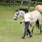 Tiiva (isa Teik 809 E)