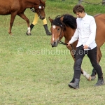 Vekseelia (isa Veksel 823 E)