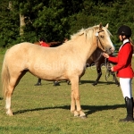 Tiiva (isa Teik 809 E)