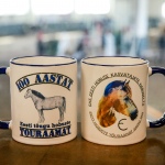 071DEDF5-6769-49E5-A43E-F91D000D180B