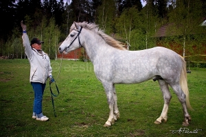 Täkk Aero 880E (s. 2011, aretaja OÜ Redesmar)