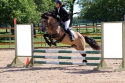 Anette Eylandt ja Tohtri Error 80 cm