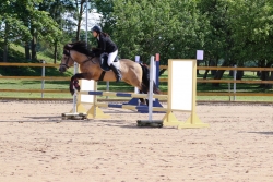 Anette Eylandt ja Tohtri Error 80 cm