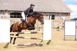 Riin Kurrikoff ja Trikk 90 cm