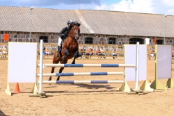 Riin Kurrikoff ja Trikk 100 cm