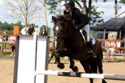 20292133_440219373038211_647013647_n