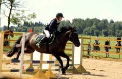 20371012_440218349704980_614772551_n