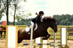 20403561_440220166371465_77715521_n