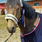 26CB027E-5D55-4FD5-83CF-18FDBA3C646F