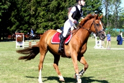 Red Rose esimesel alal parim eesti hobune