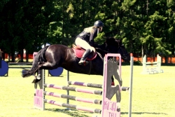 Poniratsanike parim eesti obusega Erikson 75 cm teine arvestus