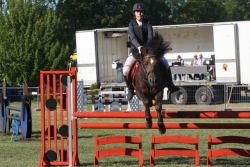 Triini viks VermutII 95 cm viimasel alal esimene päev