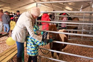 Rahvas tutvumas hobustega. Maamess 16.04.15