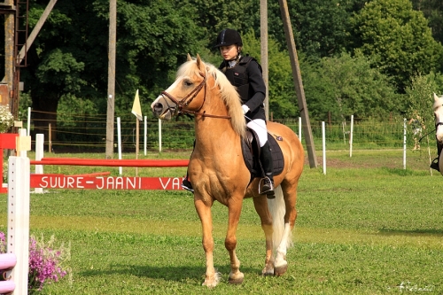 Kertu Vellemäe Vändra RSK Trevor 739 E , omanik Linda Leemets