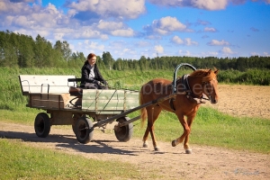 Rips ja võistleja Tuuli Sammelselg