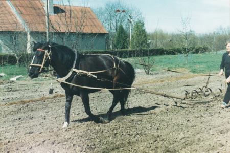 Andra 3562 E kodus põllutöid tegemas